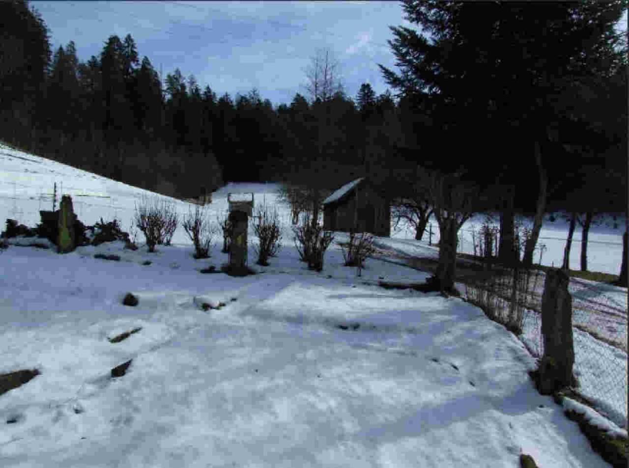 Ferienhaus Schwarzwald Seewald Erzgrube Badesee 100% Natur Екстер'єр фото